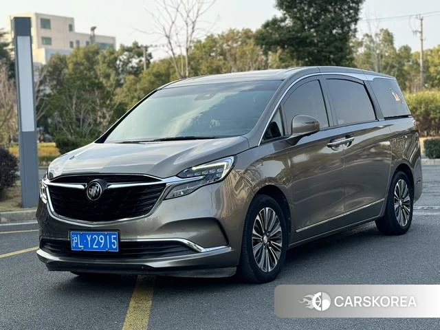 Buick GL8 2020 Коричневый из Китая, фото 4