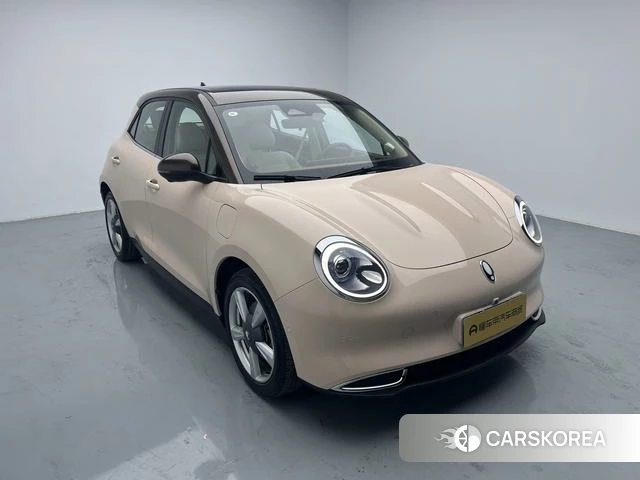 Euler Good cat 2021 Другой из Китая, фото 4