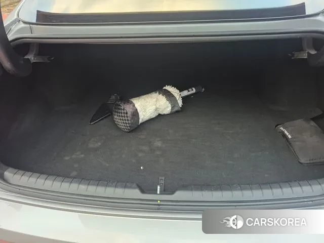 Hyundai Sonata (DN8) 2021 Цвет тростника из Кореи, фото 4