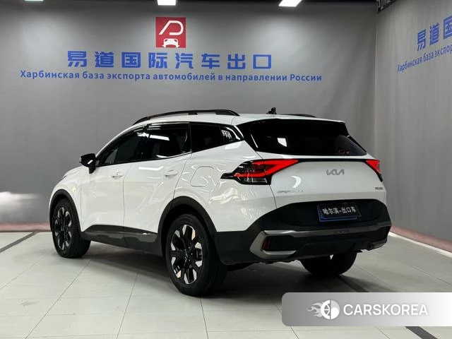 Kia Lion Platinum expands the world 2023 Белый из Китая, фото 4