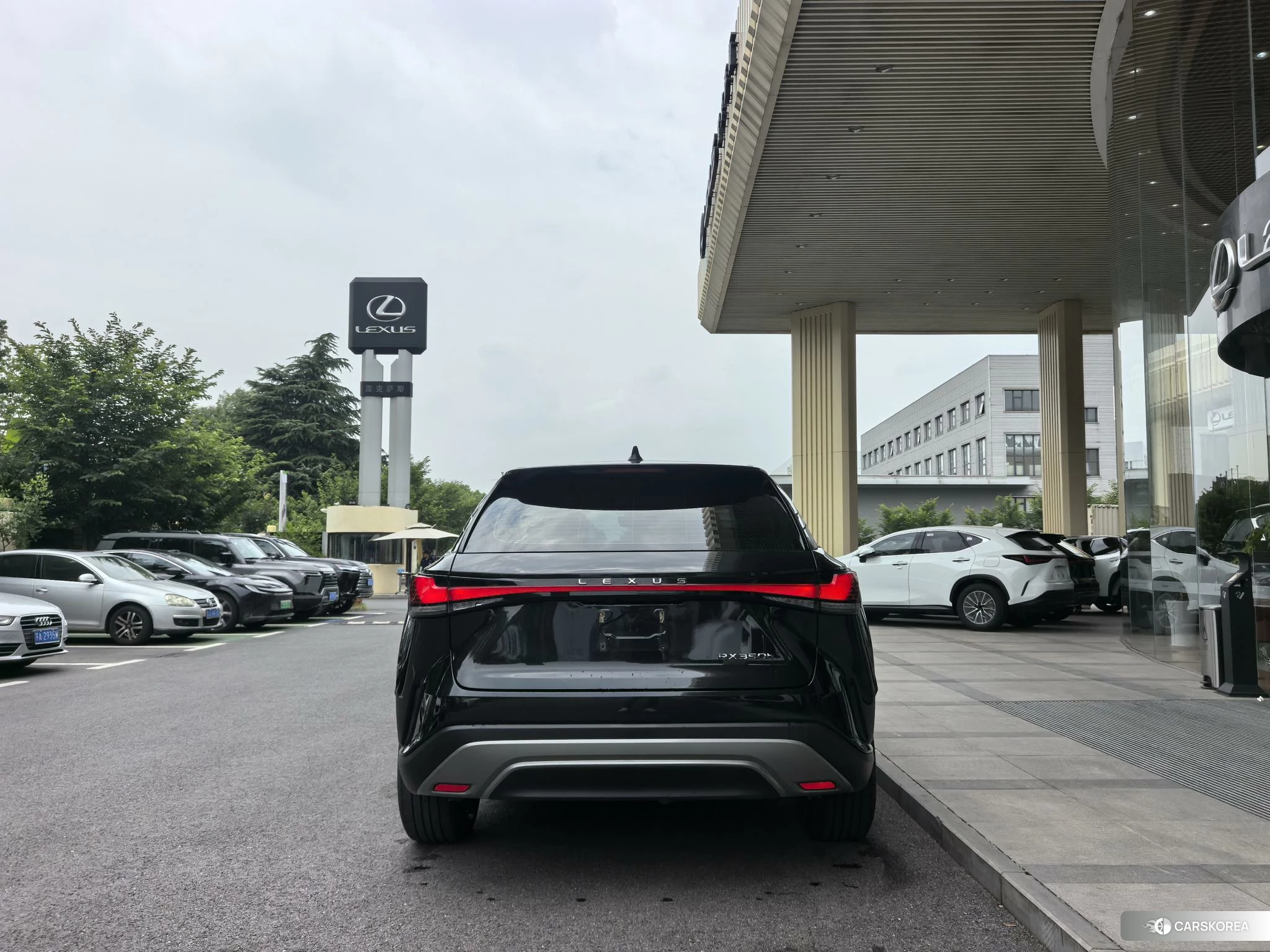 Lexus RX 2023 Черный из Китая, фото 4