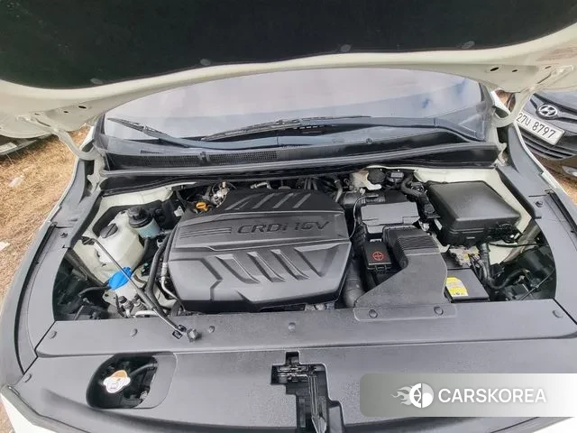 Kia The New Carnival 2018 Белый из Кореи, фото 4