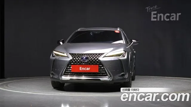 Lexus UX250h 2020 Серый из Кореи, фото 4