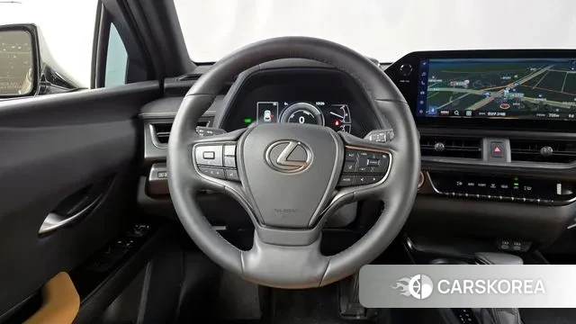 Lexus UX250h 2023 Серый из Кореи, фото 4