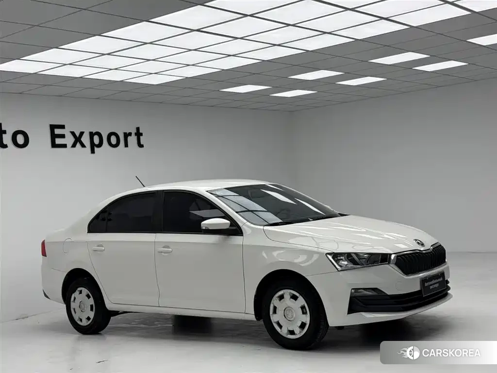 Skoda Xin Rui 2021 Белый из Китая, фото 4
