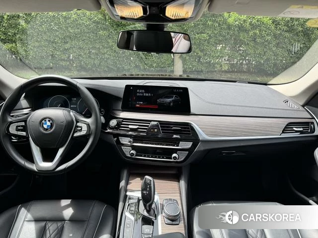 BMW 5 series PHEV id 4208440 из Китая 4