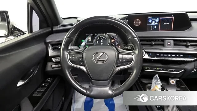 Lexus UX250h 2019 Цвет тростника из Кореи, фото 4