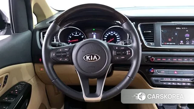 Kia The New Carnival 2019 Белый из Кореи, фото 4