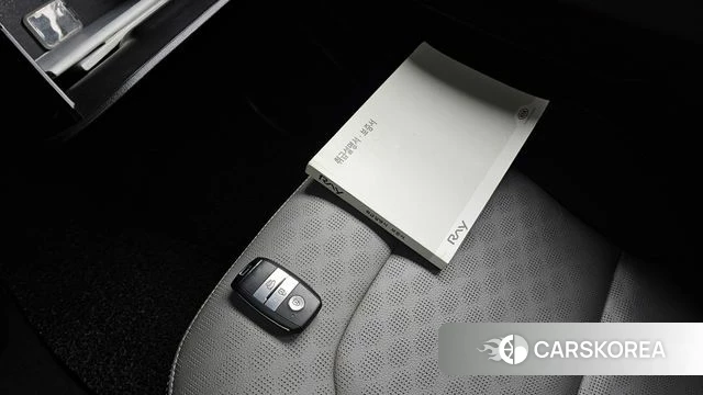 Kia The New Ray 2018 Жемчужный цвет из Кореи, фото 4