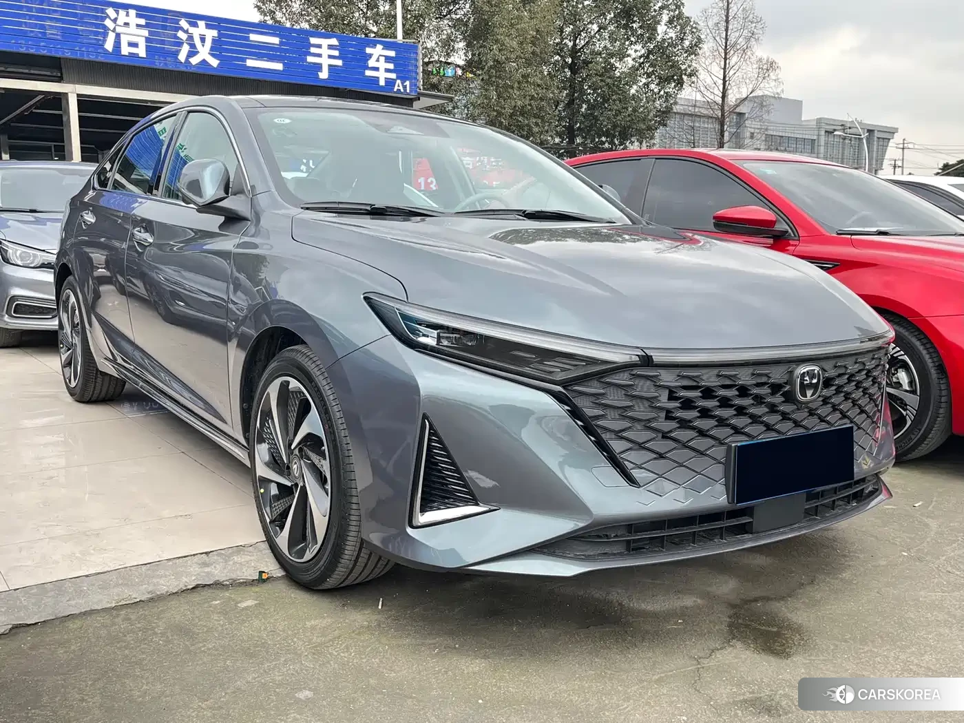 Chang'an Ruicheng PLUS 2022 Silver/gray из Китая, фото 4