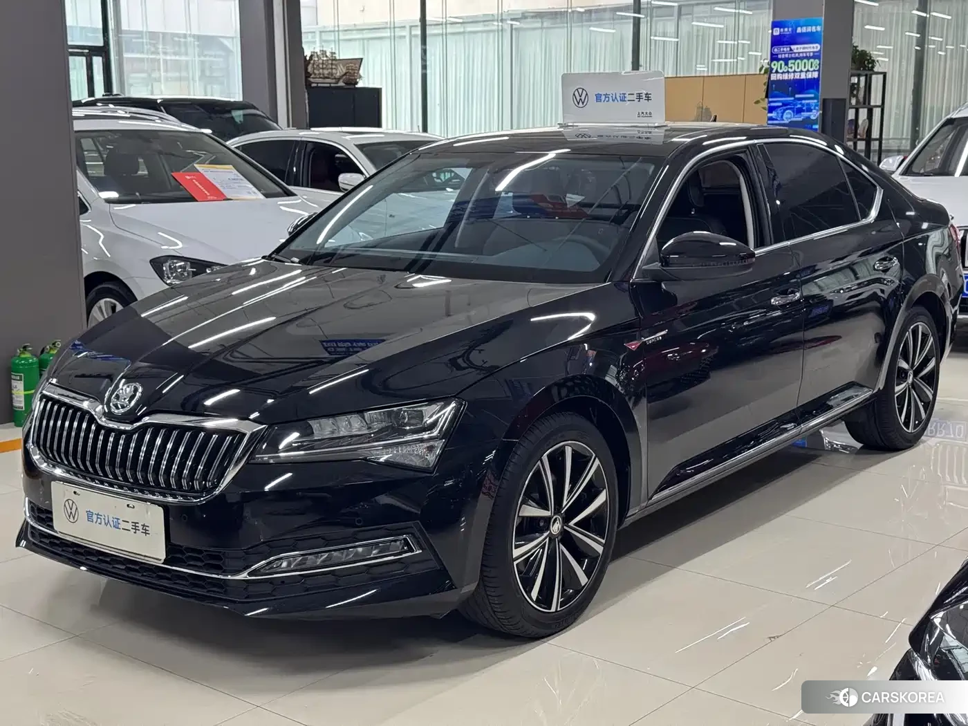 Skoda Speed pie 2024 Черный из Китая, фото 4