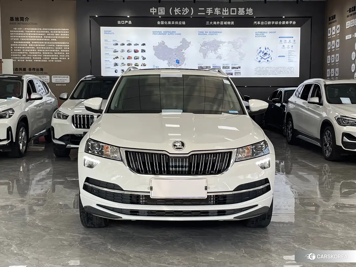 Skoda Krok 2022 Белый из Китая, фото 4
