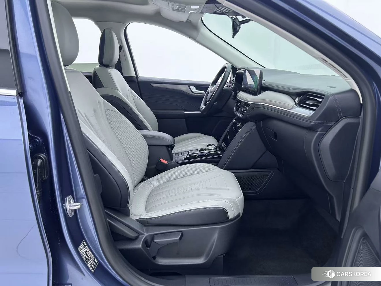 Ford Ruiji 2020 Синий из Китая, фото 4