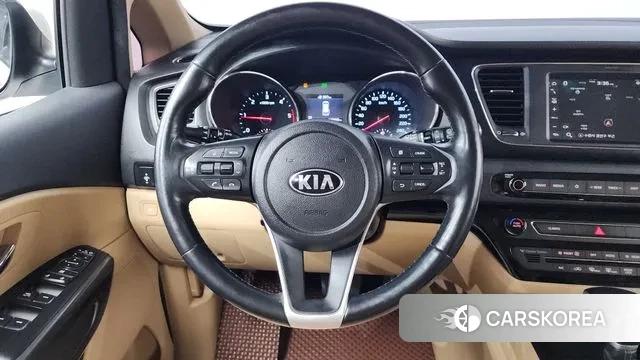 Kia The New Carnival 2019 Белый из Кореи, фото 4
