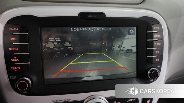 Kia Soul EV 2018 Цвет тростника из Кореи, фото 5