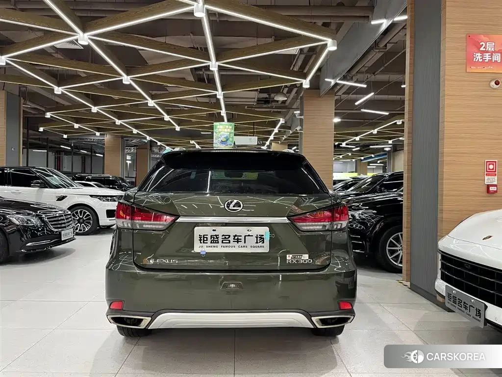 Lexus RX 2022 Silver/gray из Китая, фото 5