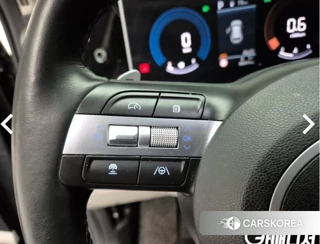 Hyundai The New Tucson (NX4) 2024 Цвет тростника из Кореи, фото 5