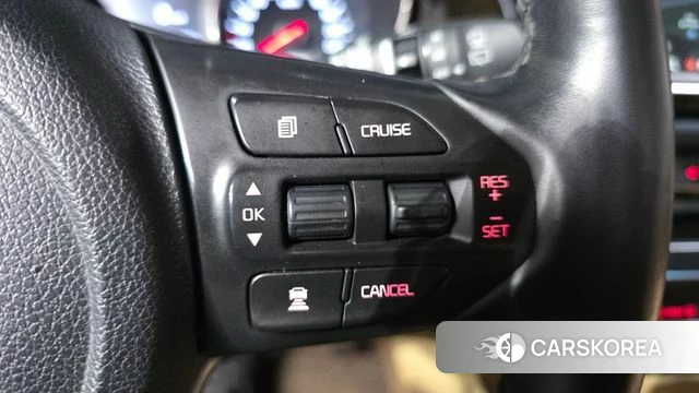 Kia The New Carnival 2018 Белый из Кореи, фото 5