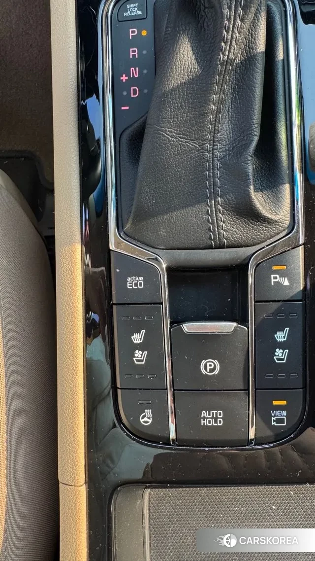 Kia The New Carnival 2020 Жемчужный цвет из Кореи, фото 5