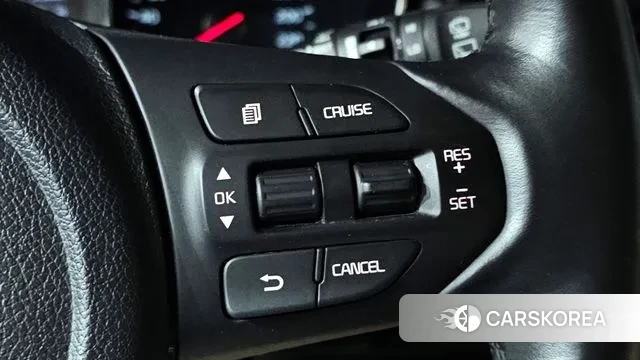 Kia The New Carnival 2018 Белый из Кореи, фото 5