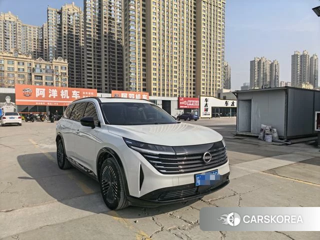 Nissan Exploring the land 2024 Белый из Китая, фото 5