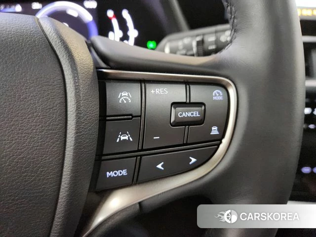 Lexus UX300h 2025 Серый из Кореи, фото 5