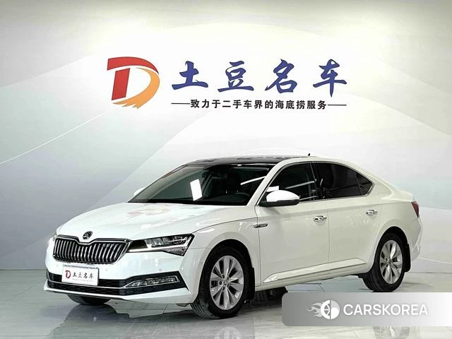 Skoda Speed pie 2021 Белый из Китая, фото 5