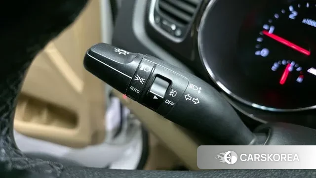 Kia The New Carnival 2019 Белый из Кореи, фото 5