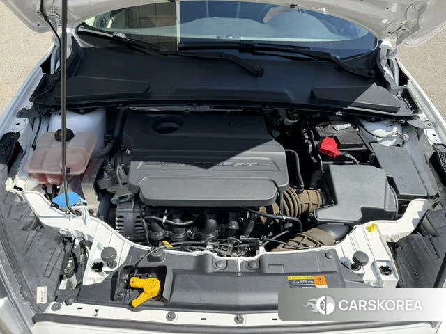 Ford Forrest 2018 Белый из Китая, фото 5