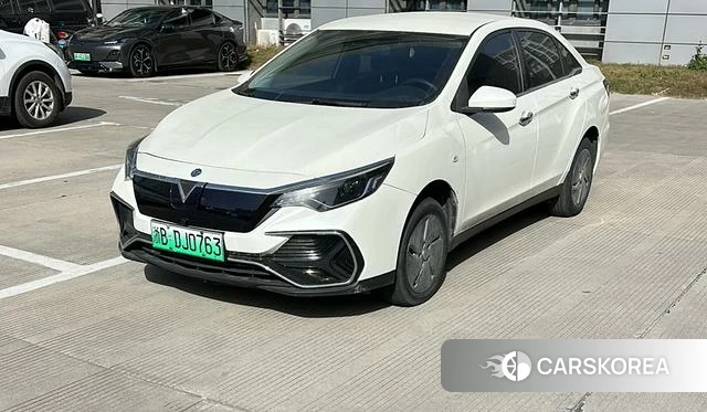 Qichen D60 EV 2022 Белый из Китая, фото 5
