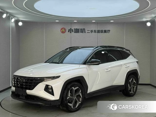 Hyundai Tucson 2021 Белый из Китая, фото 5