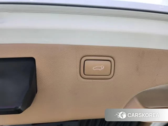 Kia The New Carnival 2018 Белый из Кореи, фото 5