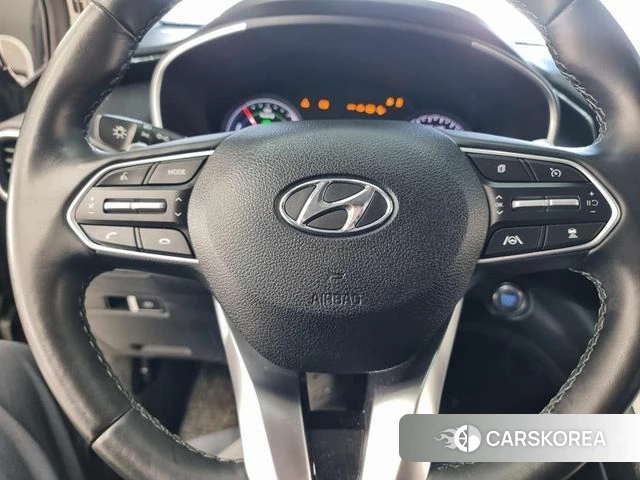 Hyundai The New Santa Fe 2022 Цвет тростника из Кореи, фото 5