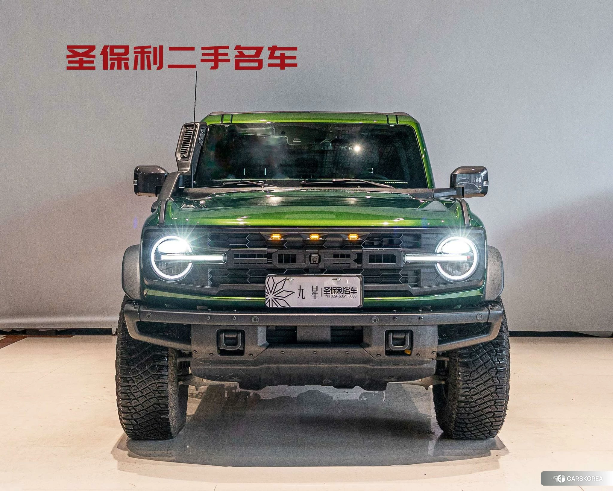 Ford Lie Ma 2024 Зеленый из Китая, фото 5