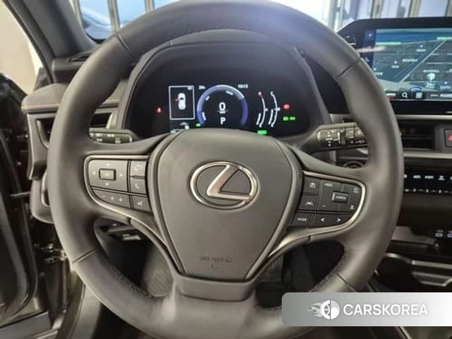 Lexus UX300h 2025 Светло-зеленый из Кореи, фото 5