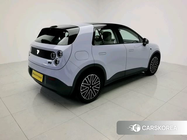 firefly firefly Unknown 2025 Фиолетовый из Китая, фото 5