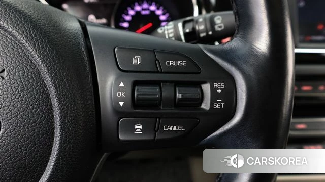 Kia The New Carnival 2020 Белый из Кореи, фото 5