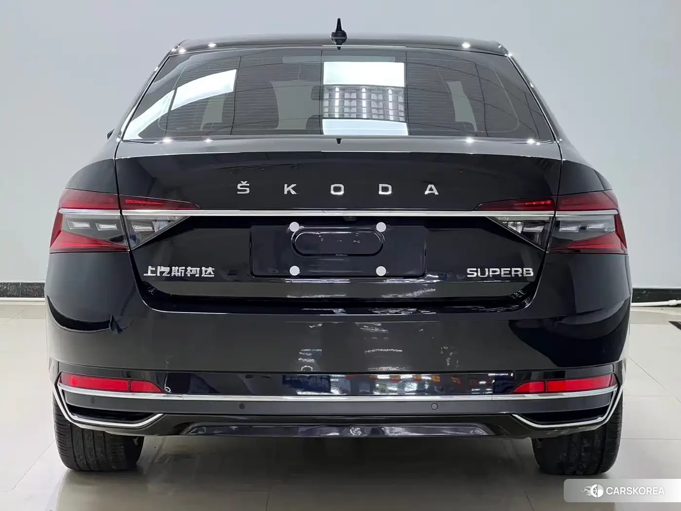 Skoda Speed pie 2024 Черный из Китая, фото 5