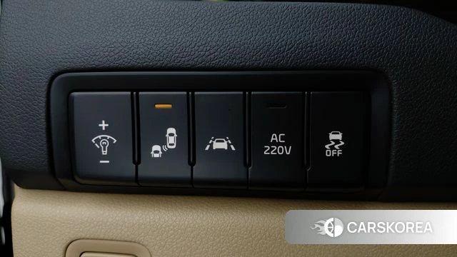Kia The New Carnival 2020 Жемчужный цвет из Кореи, фото 5