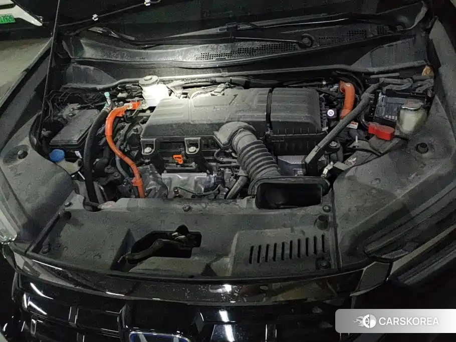 Honda Elysion 2024 Черный из Китая, фото 5