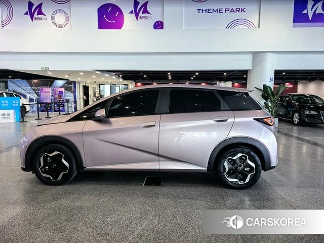 BYD dolphin 2022 Фиолетовый из Китая, фото 5
