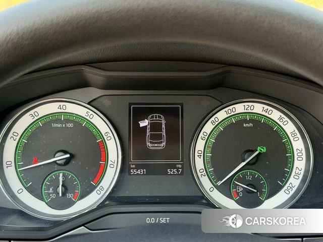 Skoda Speed pie 2019 Коричневый из Китая, фото 5