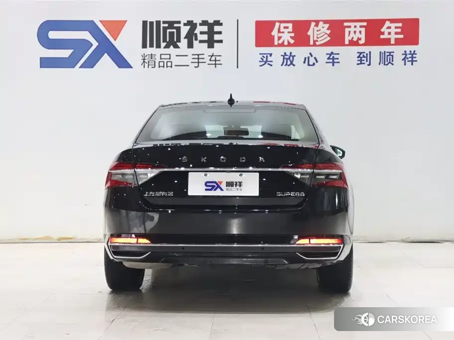 Skoda Speed pie 2024 Черный из Китая, фото 5
