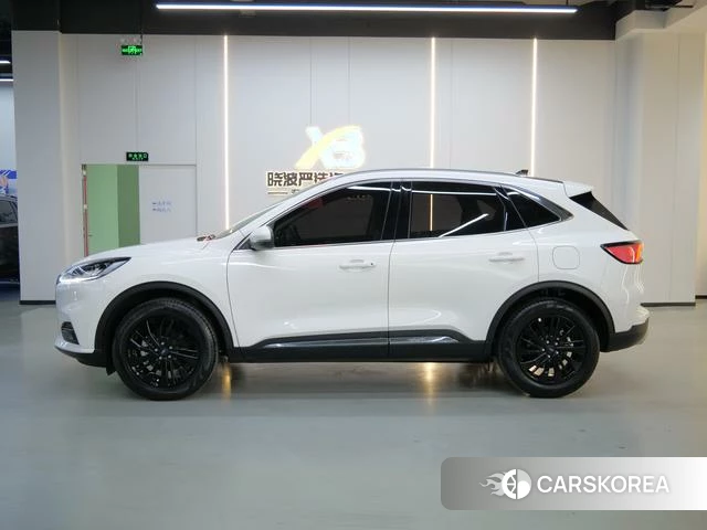 Ford Ruiji 2024 Белый из Китая, фото 5