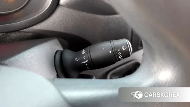 Renault Korea (Samsung) Master 2020 Серебряный из Кореи, фото 5