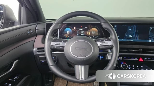 Hyundai The New Tucson (NX4) 2025 Цвет тростника из Кореи, фото 5