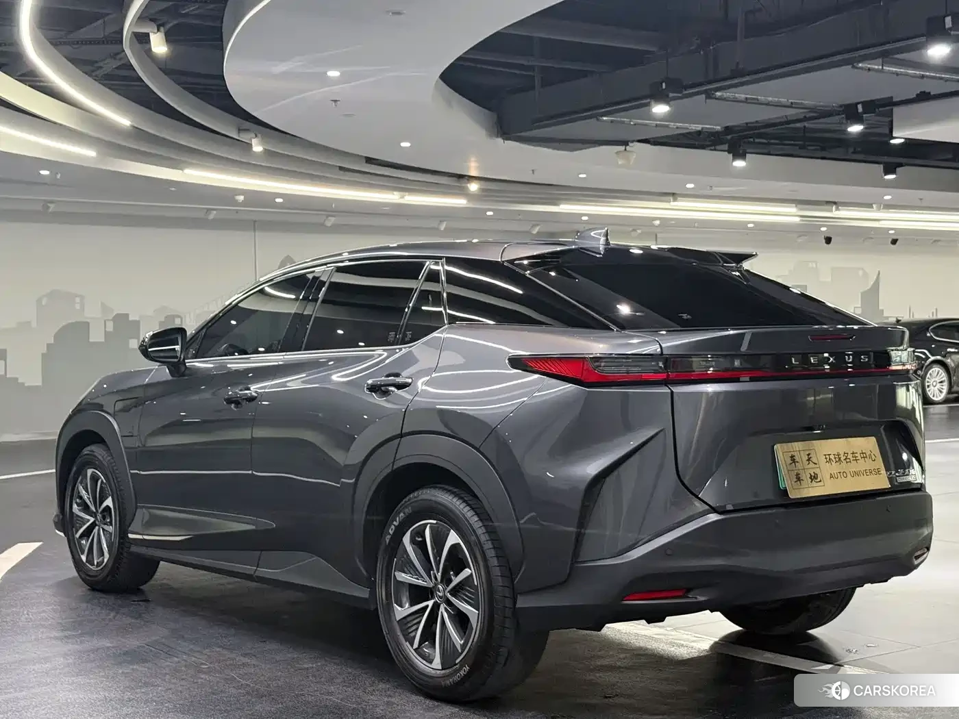 Lexus RZ 2023 Silver/gray из Китая, фото 5