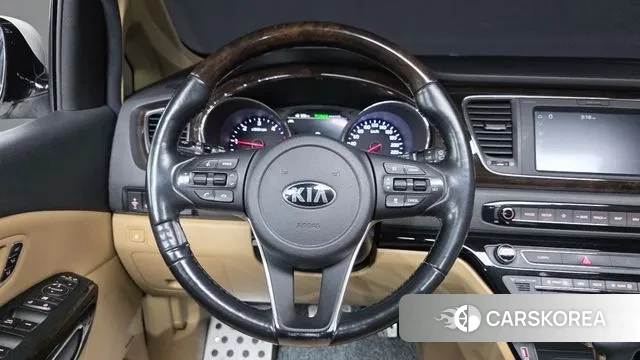 Kia The New Carnival 2019 Белый из Кореи, фото 5