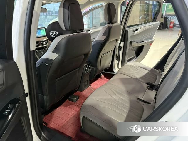 Ford Ruiji 2023 Белый из Китая, фото 5