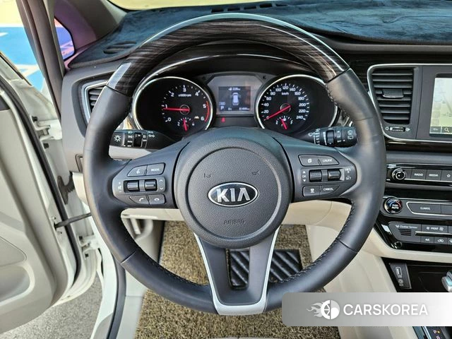 Kia The New Carnival 2020 Жемчужный цвет из Кореи, фото 5